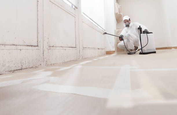 24/7 Emergency Mold Remediation experts in Palmer Lake, CO